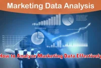 How to Analyze Marketing Data Effectively