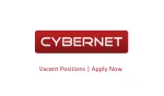 Cybernet Internet Services Pvt. Ltd. company logo