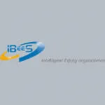 IBEES Consulting company logo