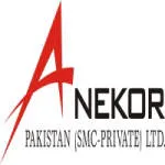 Anekor Pakistan company logo