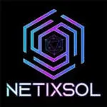 NetixSol company logo