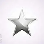 Silver Star Ortho company icon